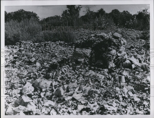 1958 Press Photo Pig Farm in Dunham Road, Walton Hills - Historic Images