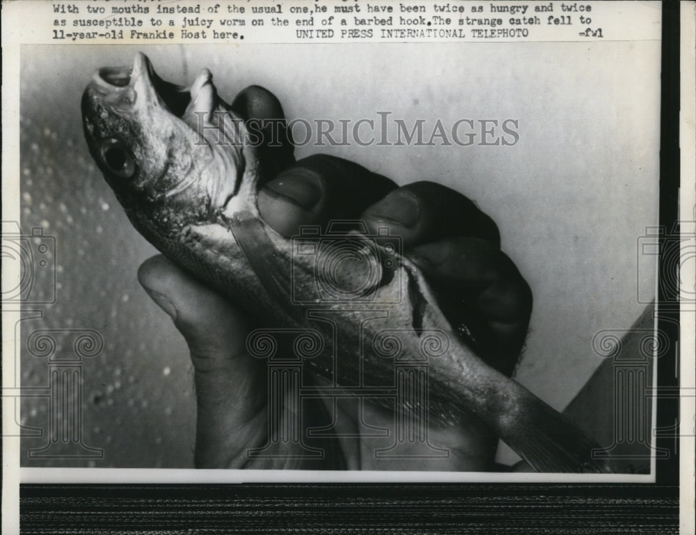 1959 Press Photo Frank Host holding fish with two mouths – Historic Images