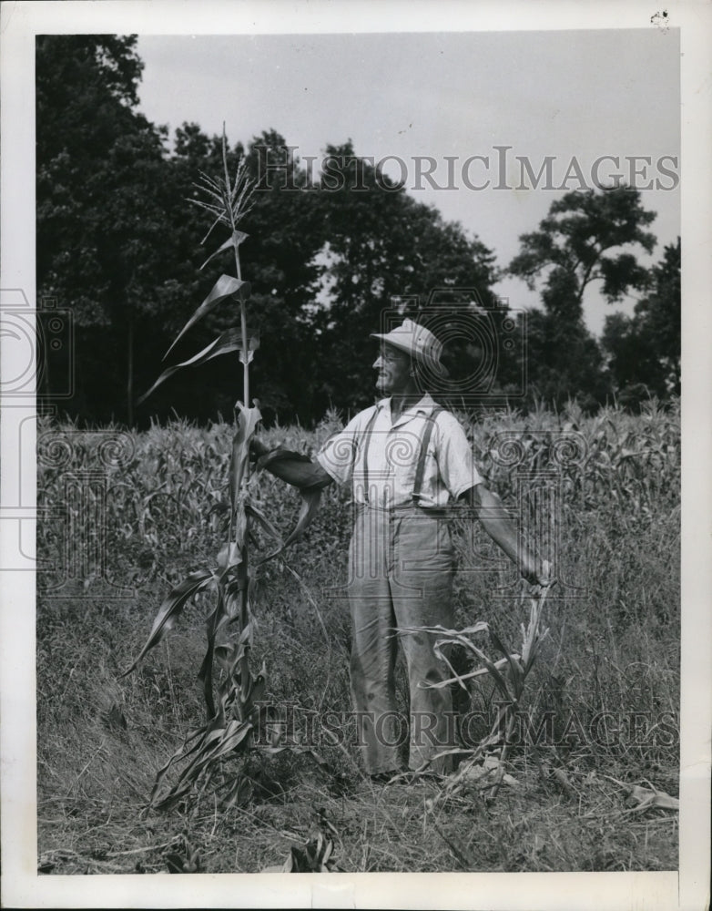 1949 Press Photo Farmer William Hookstra holds stalk of sweet corn - Historic Images