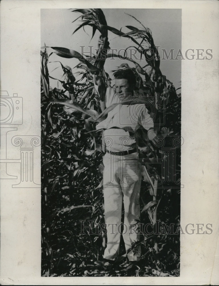 1935 Press Photo G.A. Briggs inspecting corn on his farm near Valley Center - Historic Images