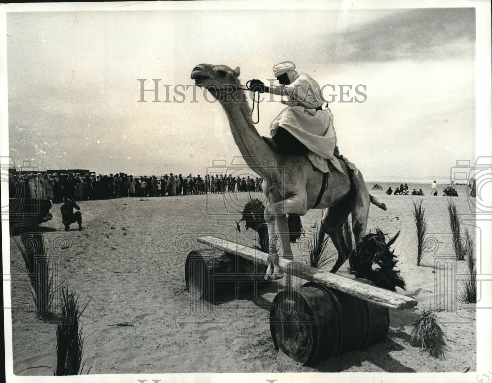 1969 Press Photo Shara Desert Camel race obstacle in &quot;Touaregs&quot; - Historic Images