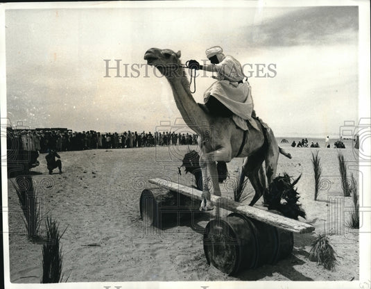 1969 Press Photo Shara Desert Camel race obstacle in "Touaregs" - Historic Images
