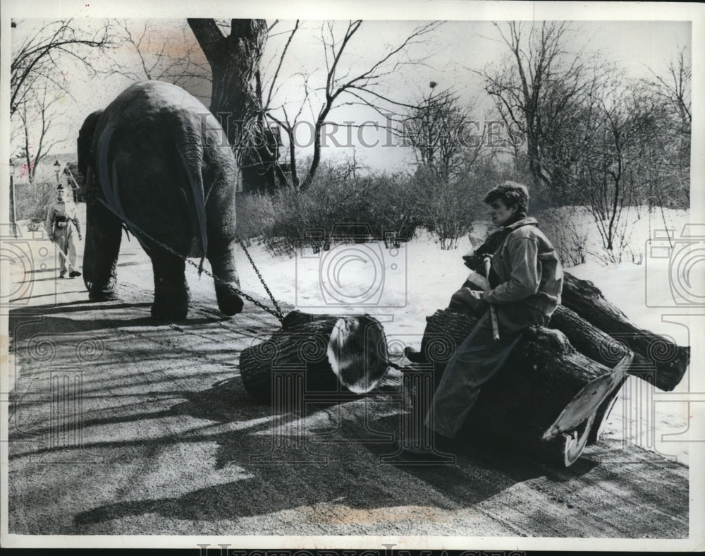 1962 Press Photo  Getting a free ride is Invar Nylund, the axeman - Historic Images