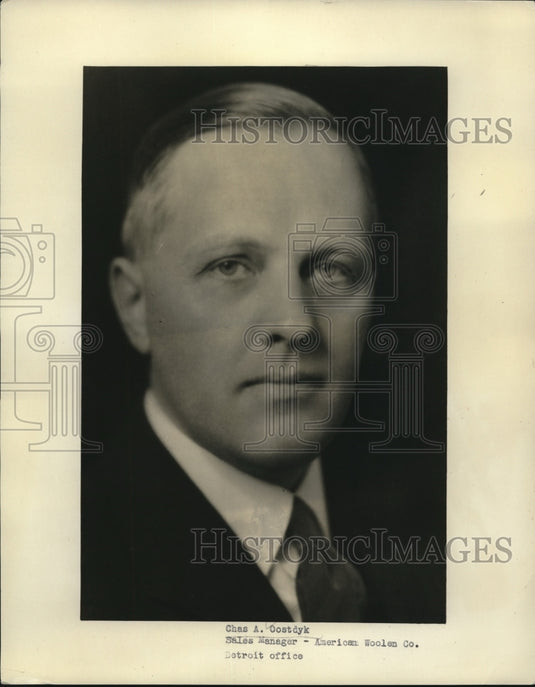 1931 Press Photo Chas A. Oostdyk, Sales Manager of American Woolen Company - Historic Images