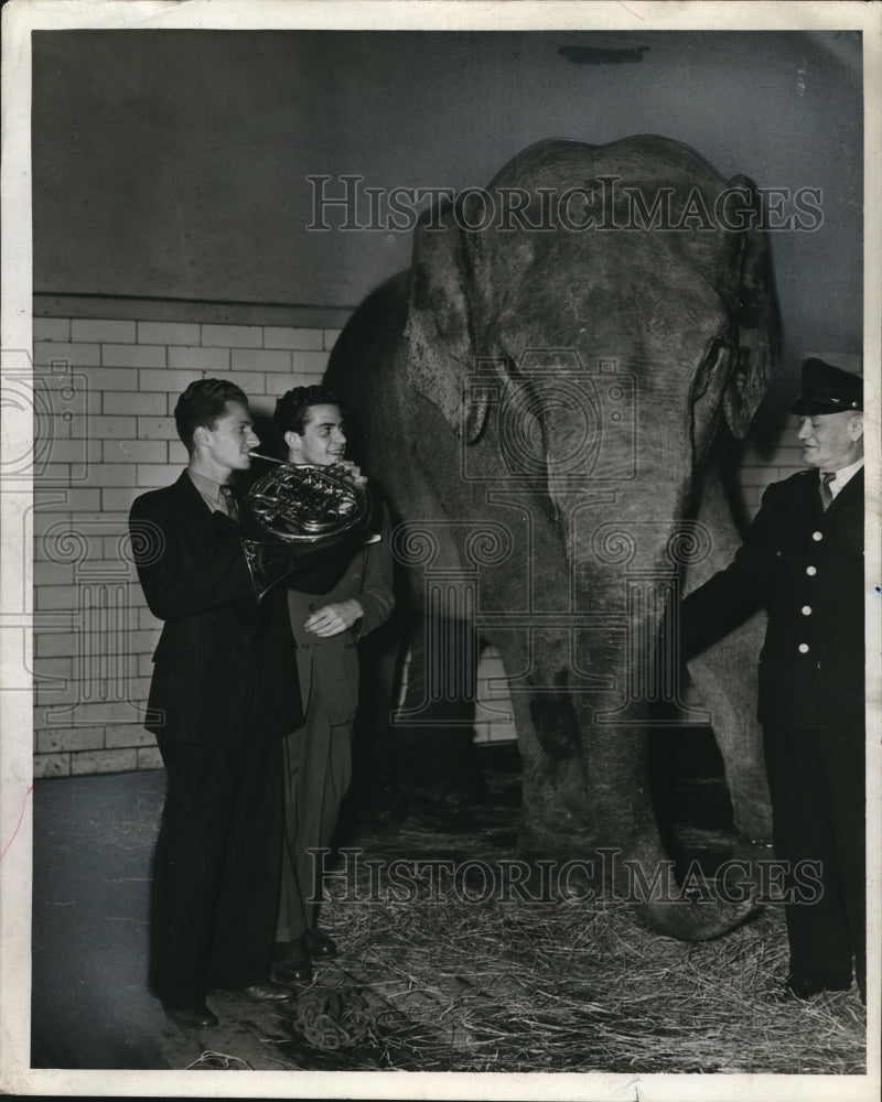 1941 Press Photo Martin Morris, Stan Harris &amp; Viola the elephant - Historic Images