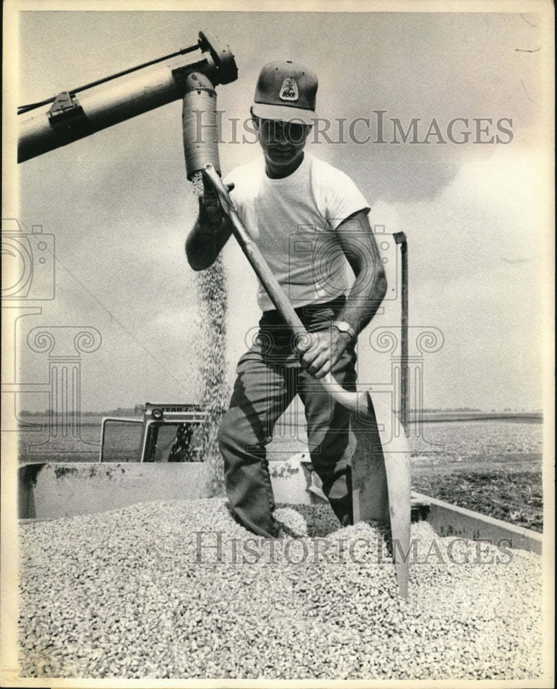 1975 Press Photo William Davis shovels corn on his New Berlin farm - Historic Images