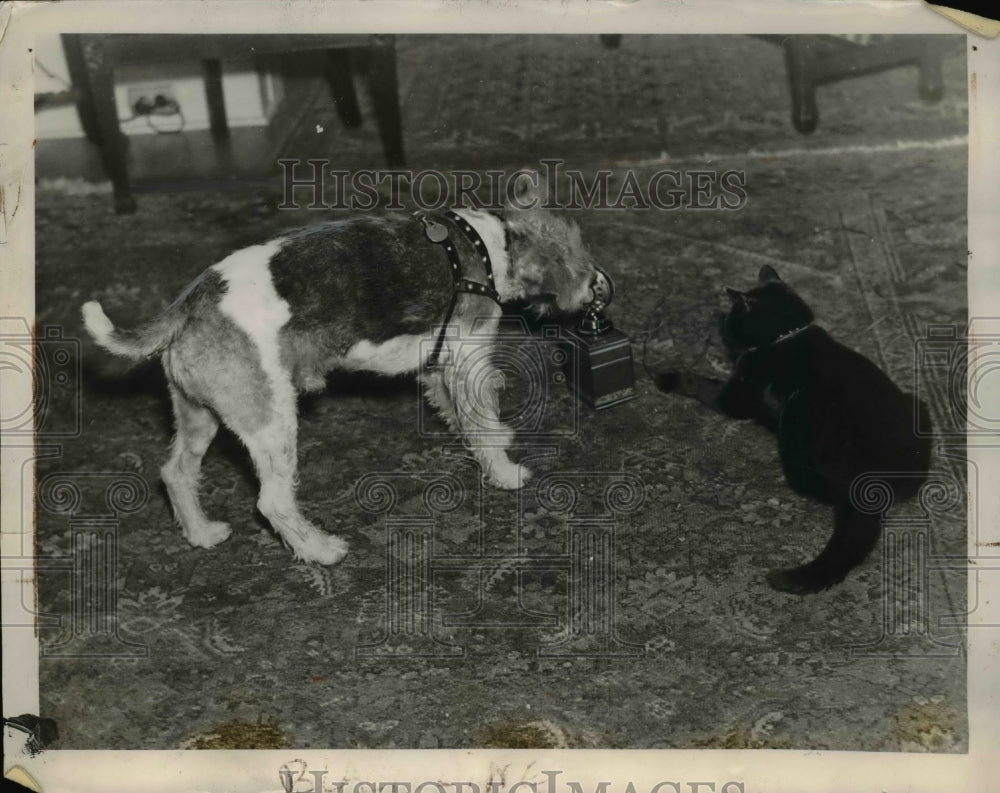 1937 Press Photo Peter Jackson and James Corbett battle to draw in 62 rounds - Historic Images