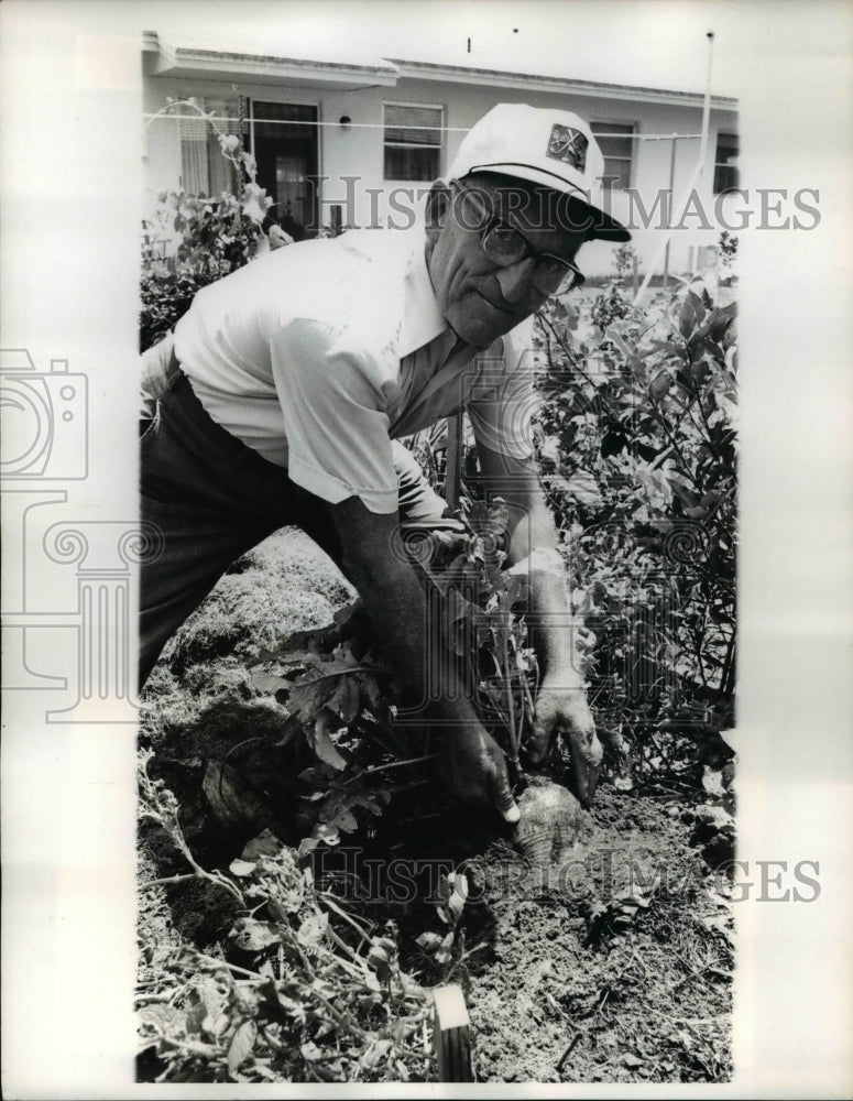 1974 Press Photo Natural Fertilizer for Plants - Historic Images