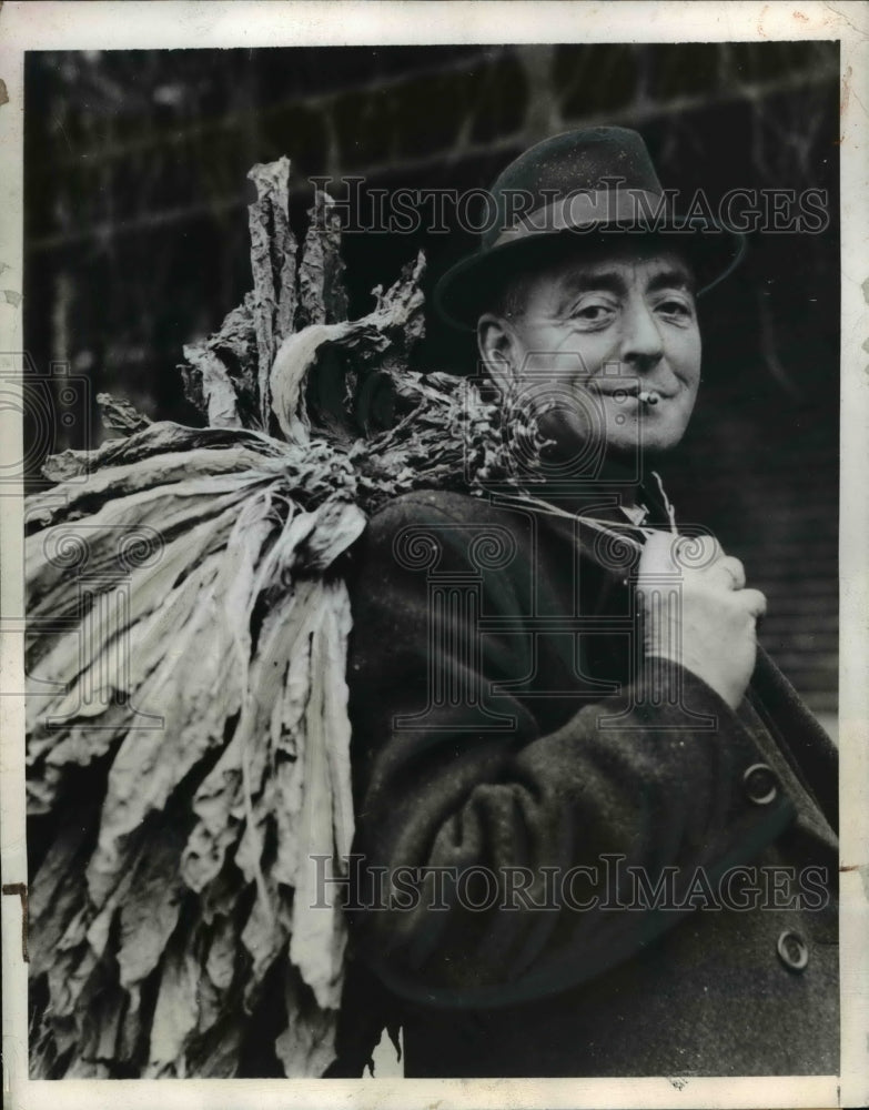 1944 Press Photo Dutch inhabitant leaves home with tobacco crop- Historic Images