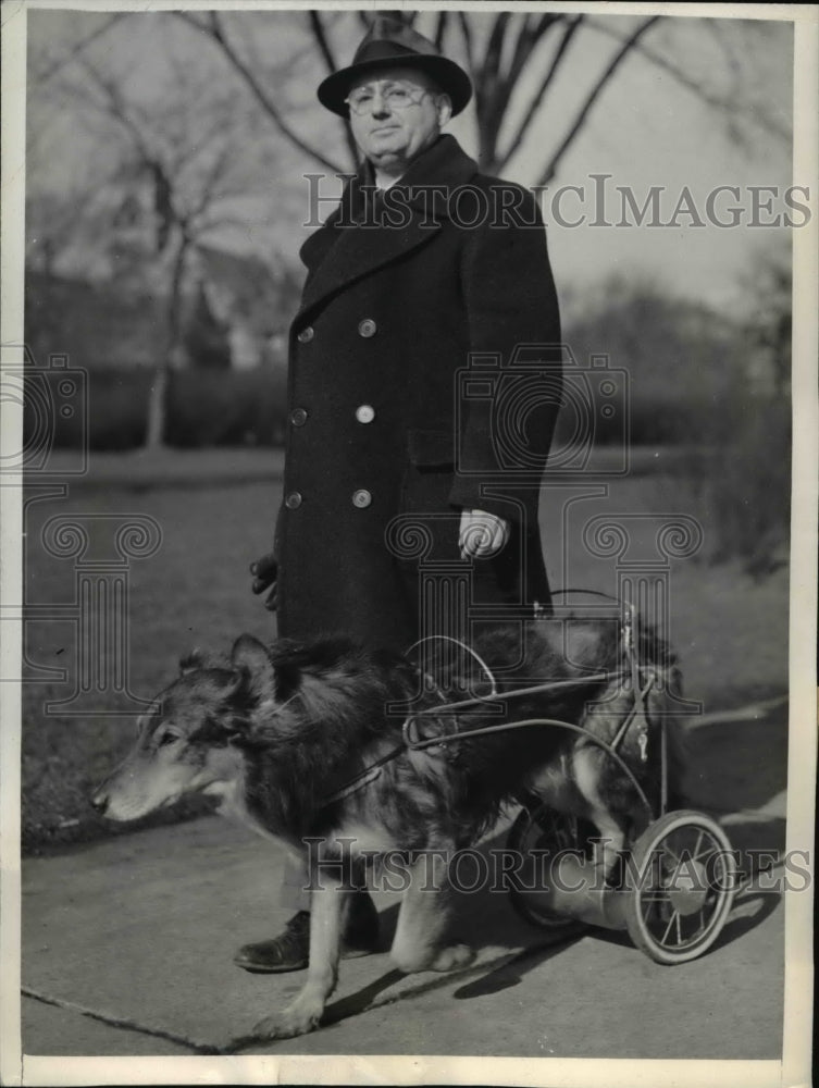 1942 Press Photo Sandy, 11-year-old Collie, with his ambulator made by his owner - Historic Images