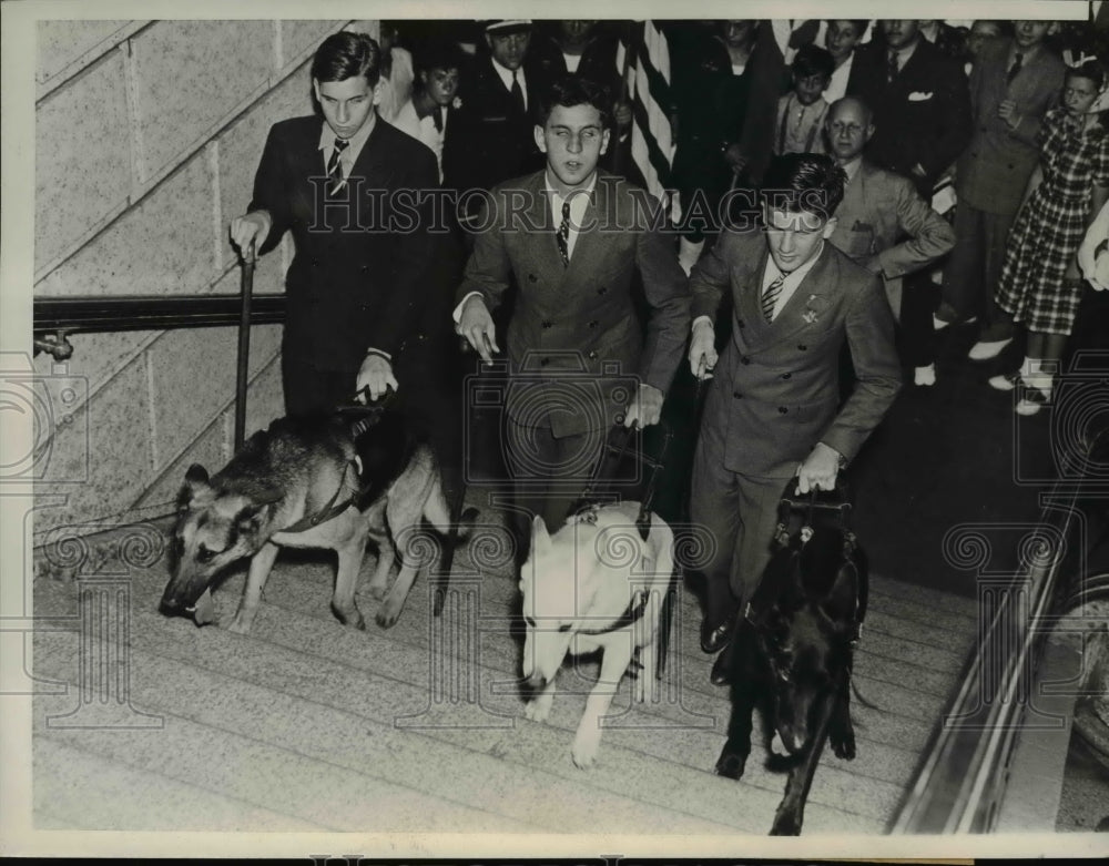 1938 Press Photo William Roy Robert Scanlon David Nagle with Seeing Eye Dogs - Historic Images