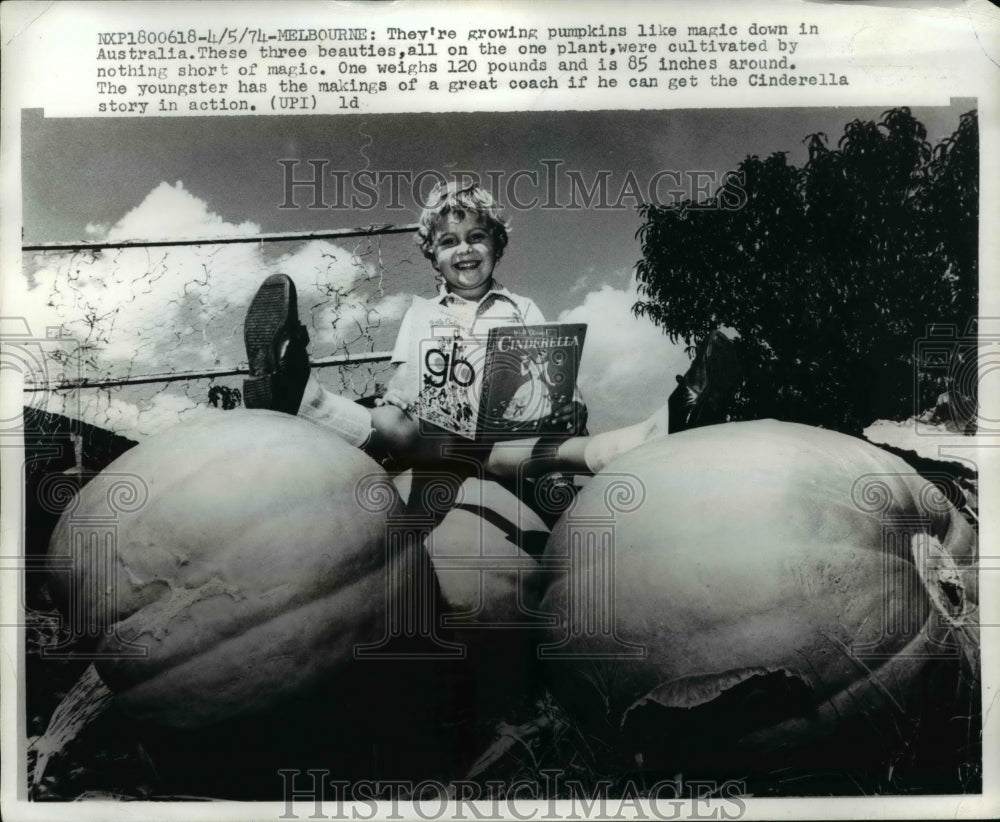1974 Press Photo Growing pumpkins like magic in Australia - Historic Images