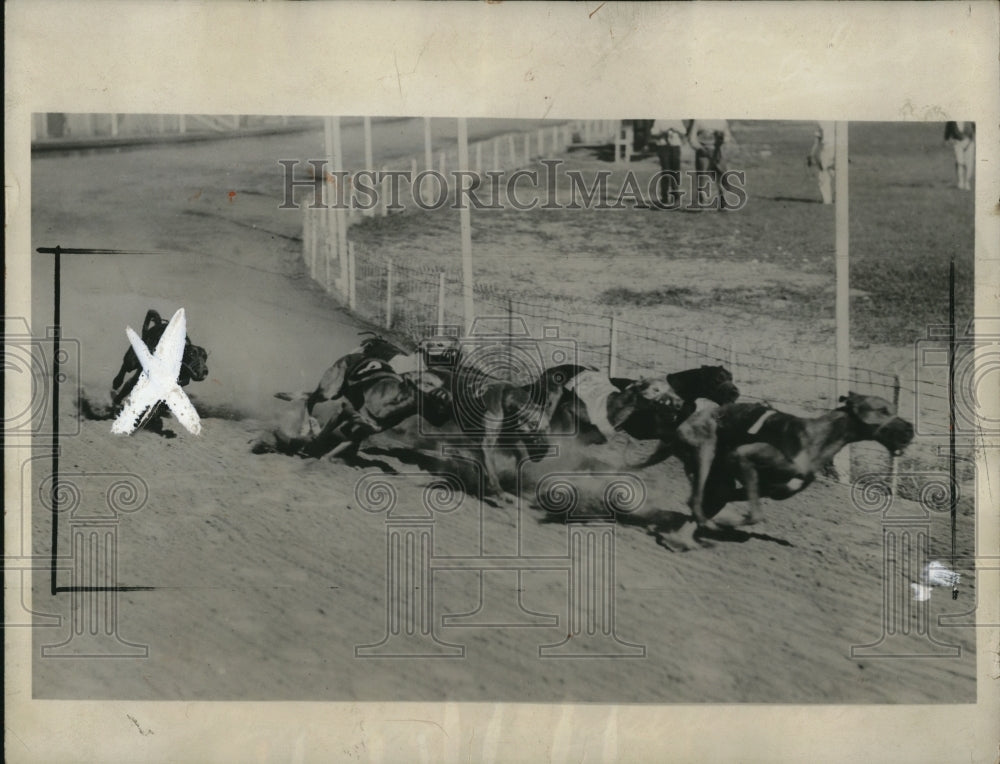 1933 Greyhounds Chasing After robot Rabbit to Train for Big Events-Historic Images