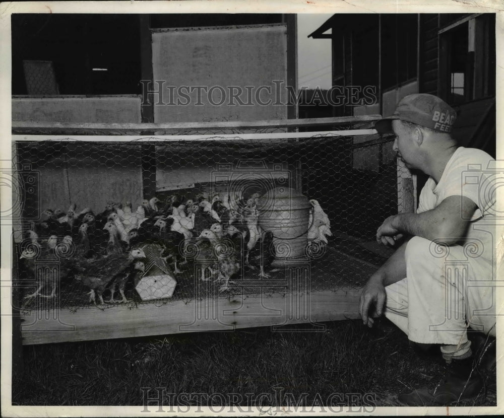 1943 Press Photo George Pearce Whitehouse Station NJ &amp; baby chicks - nee11548- Historic Images