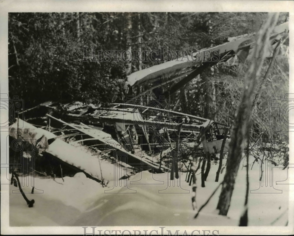1932 Wreckage of Plane where 7 were rescued - Historic Images