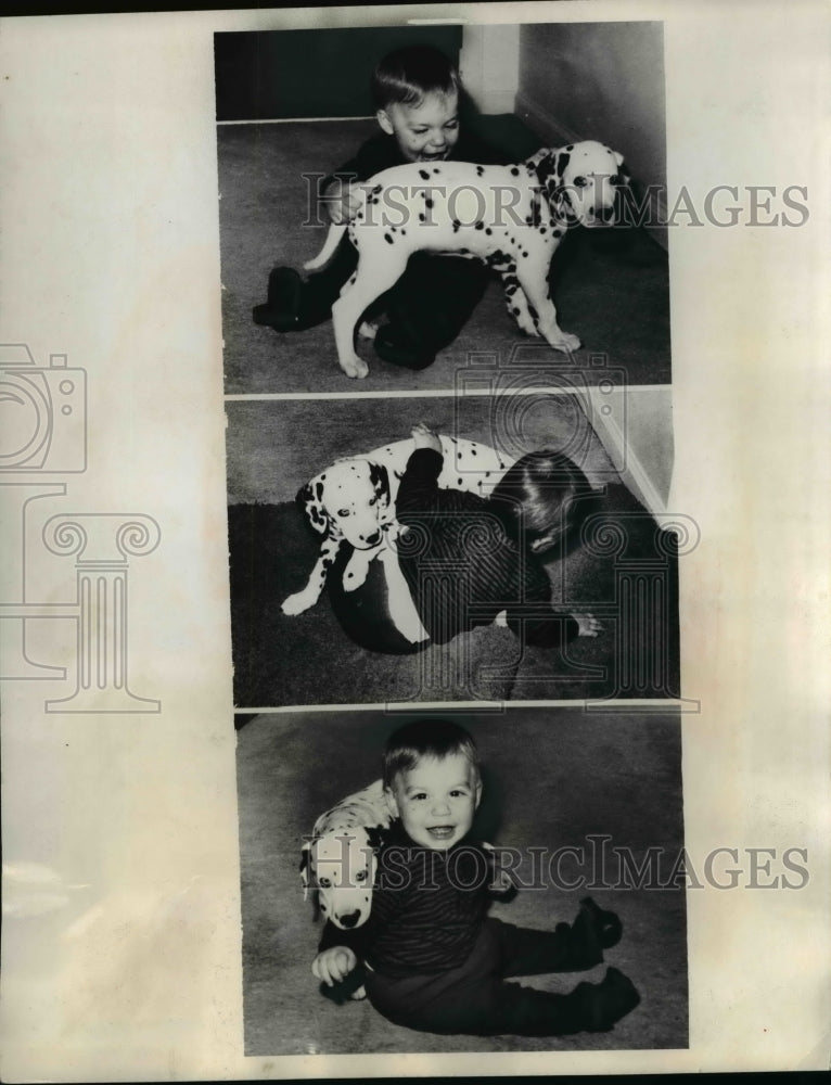 1969 Little Joseph Oliva with his dalmatian pal, Bonnie - Historic Images