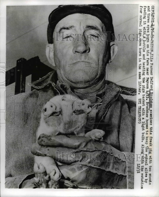 1969 Farmer Delford Bradshaw & Pig with 2 Snouts & 3 Eyes - Historic Images