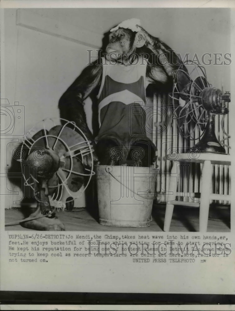 1952 Press Photo Jo Mendi the Chimp In front of Fans - Historic Images