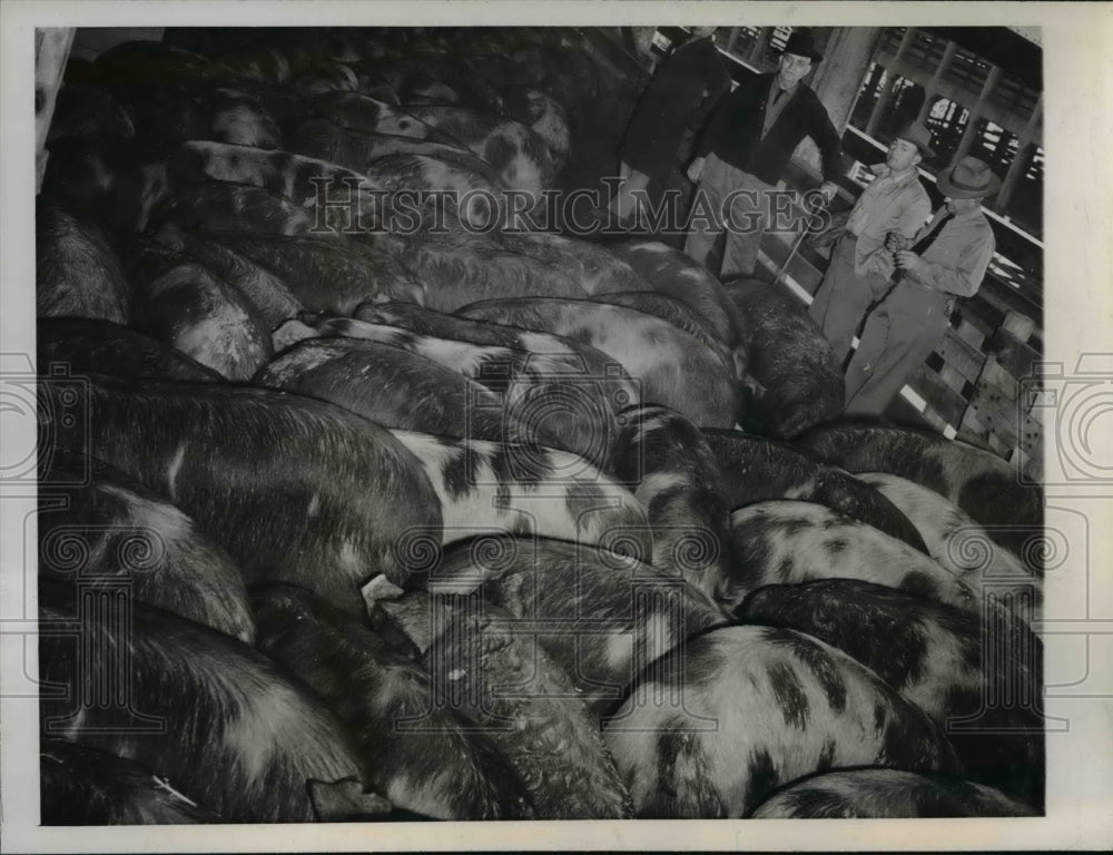 1945 Chauncey E Famuliner of Garden City owns 143,000 lbs of pork,MO - Historic Images
