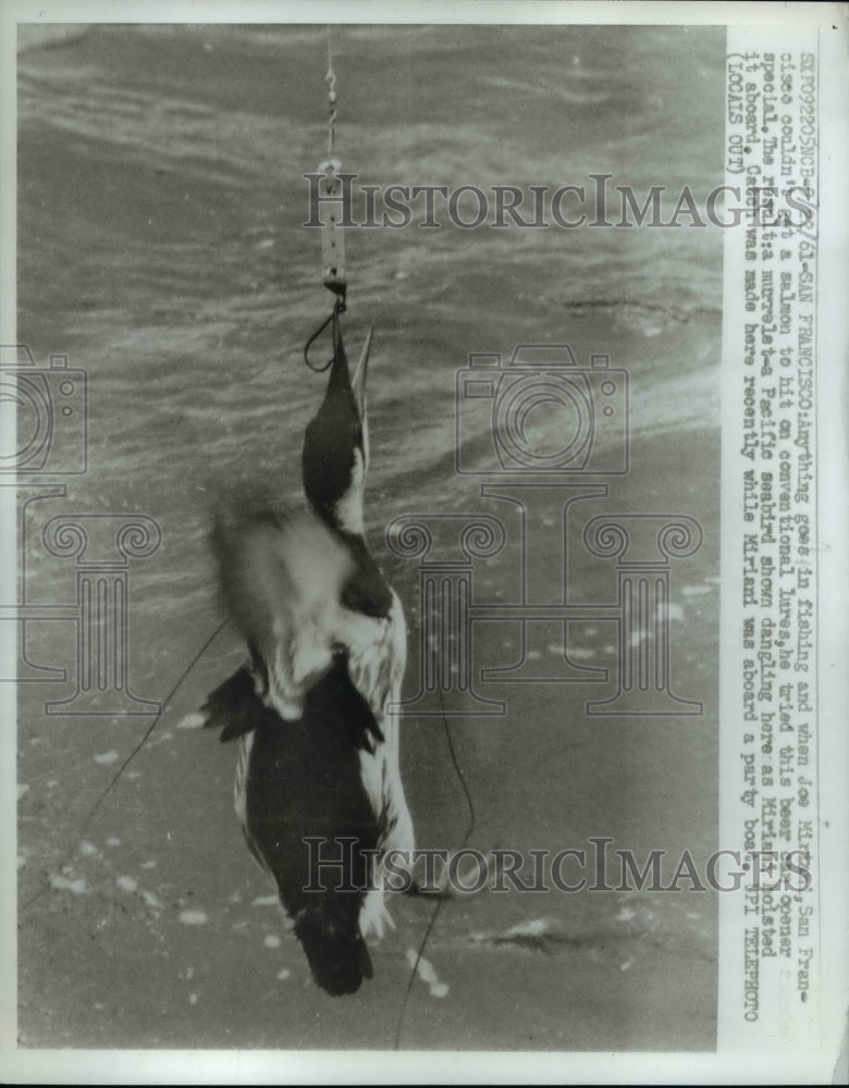 1961 Press Photo Man Uses Beer Can Opener to Catch Bird in San Francisco - Historic Images