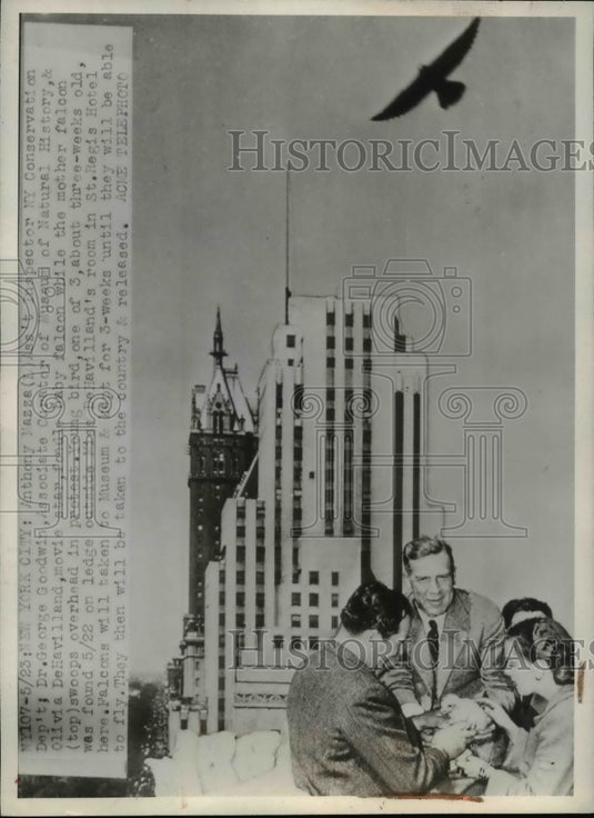 1946 Press Photo Anthony Mazza Assistant Inspector NY Conservation Dept-Historic Images