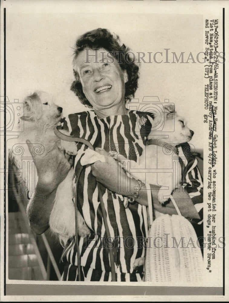 1964 Press Photo Mrs Henry Cabot Lodge & pet dogs returns to US from Vietnam - Historic Images