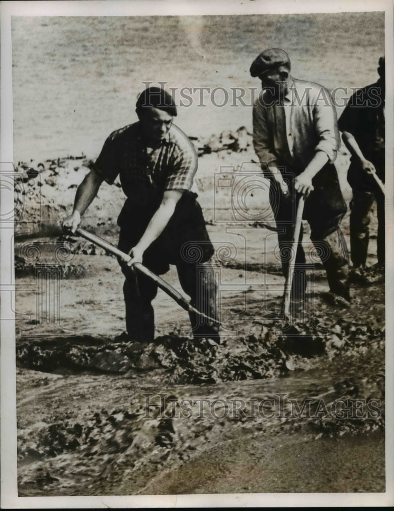 1955 Flood in Holland  - Historic Images