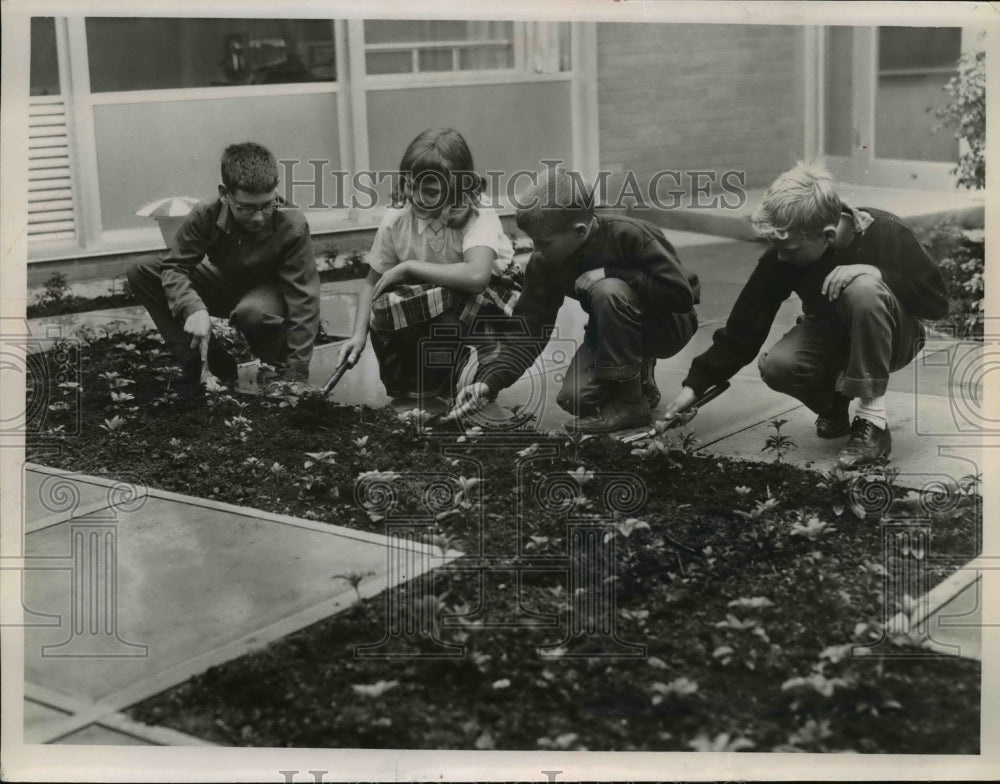 1962 Press Photo Firth Graders At Chippewa School Weeding A Patio Garden - Historic Images