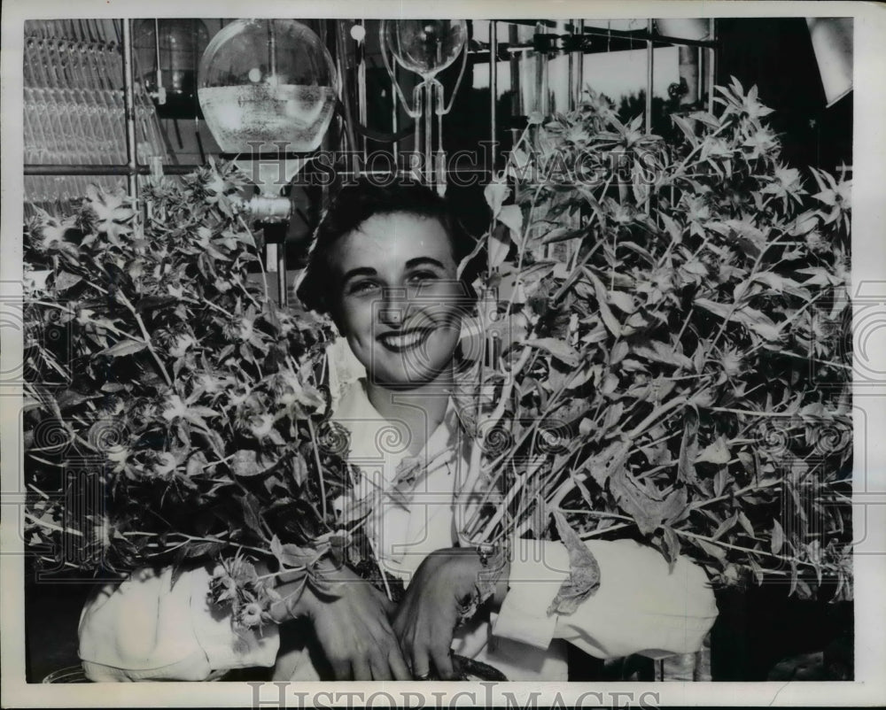 1957 Press Photo Nancy Baldwin wears Safflower Plants - nef02521 - Historic Images