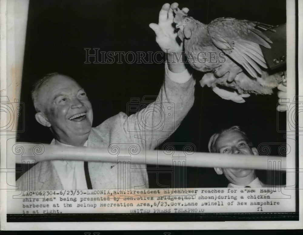 1955 Press Photo Pres.Dwight Eisenhower reaches a Hampshire Hen - nef06143 - Historic Images