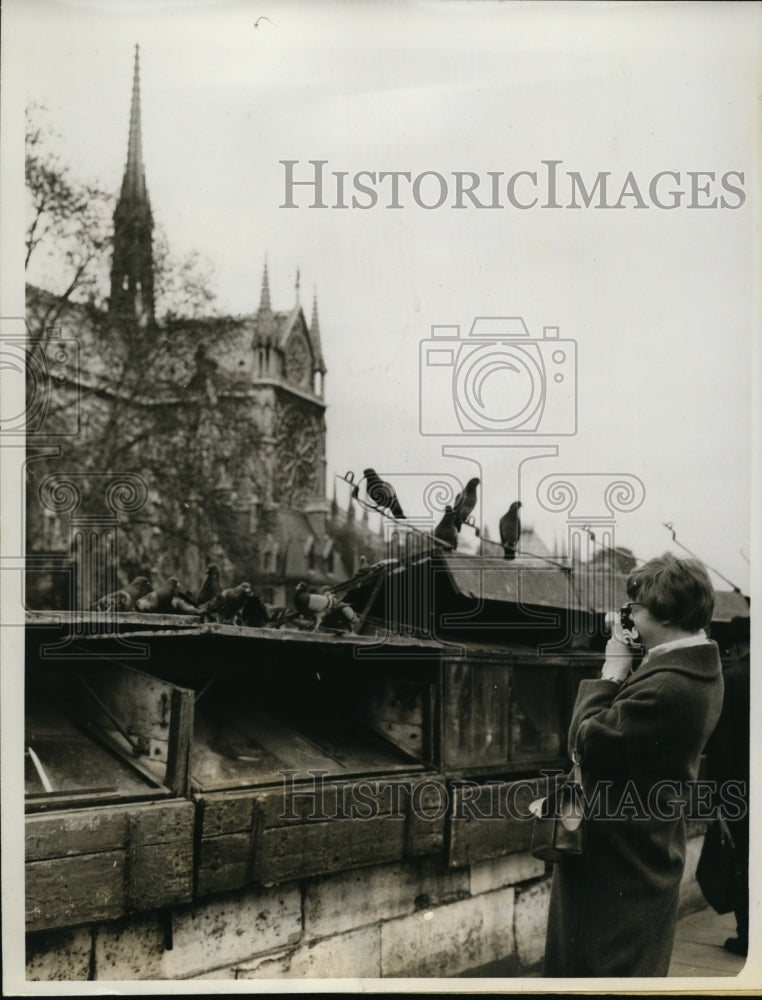 1961 Press Photo Paris Visitor Viewing the Pigeons at Cathedral of Notre Dame-Historic Images