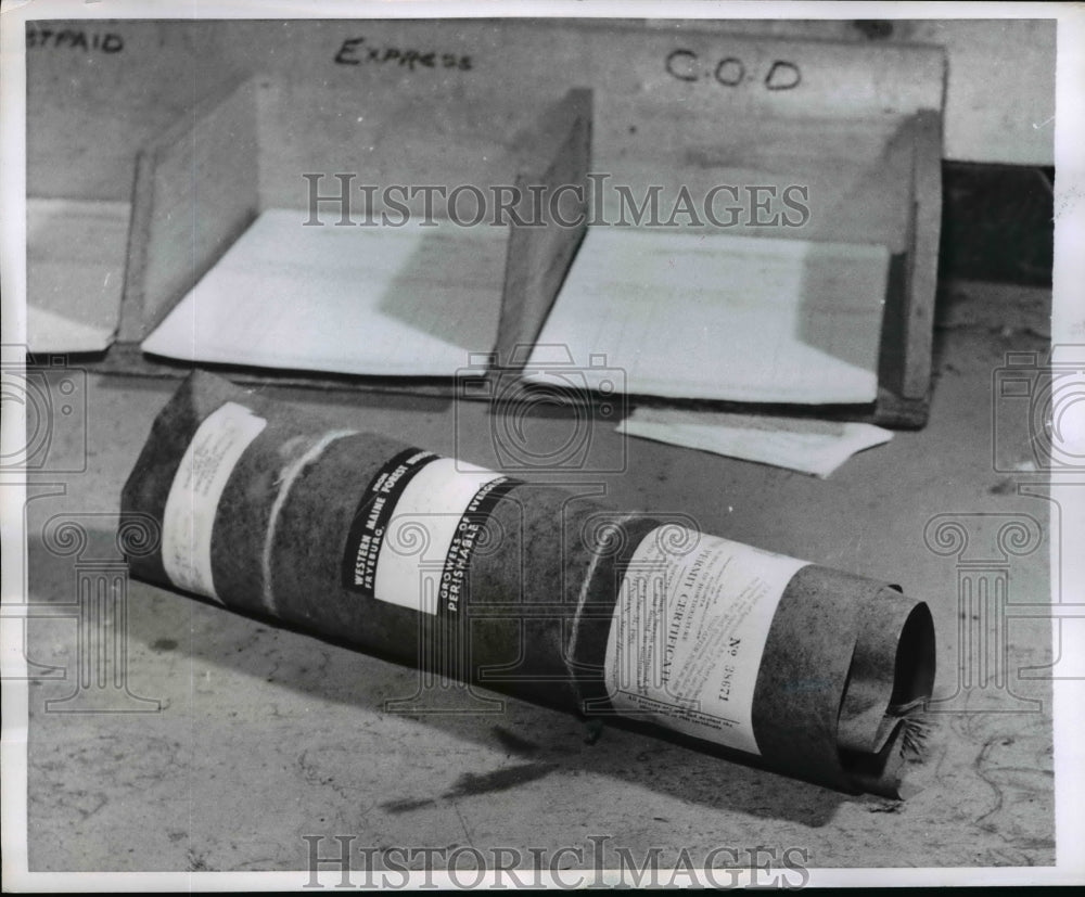 1956 Press Photo Wrapped Tree at Eastman Nursery at Freyburg, Maine - nef13141 - Historic Images