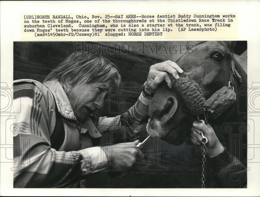 1981 Press Photo Horse Dentist Buddy Cunningham & Horse "Mogas" in Ohio - Historic Images