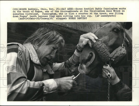 1981 Press Photo Horse Dentist Buddy Cunningham & Horse "Mogas" in Ohio - Historic Images