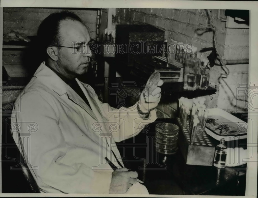1934 Press Photo Dr IF Huddleson Research Professor of Bacteriology Mich State - Historic Images