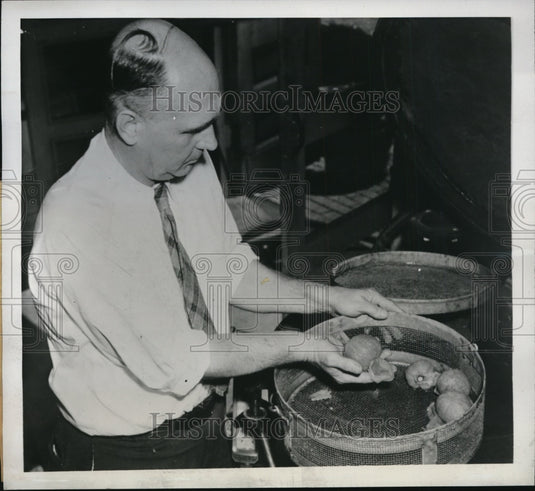 1944 Press Photo Dr. Howard Brown Demonstrating a Peeling Machine With Potatoes-Historic Images