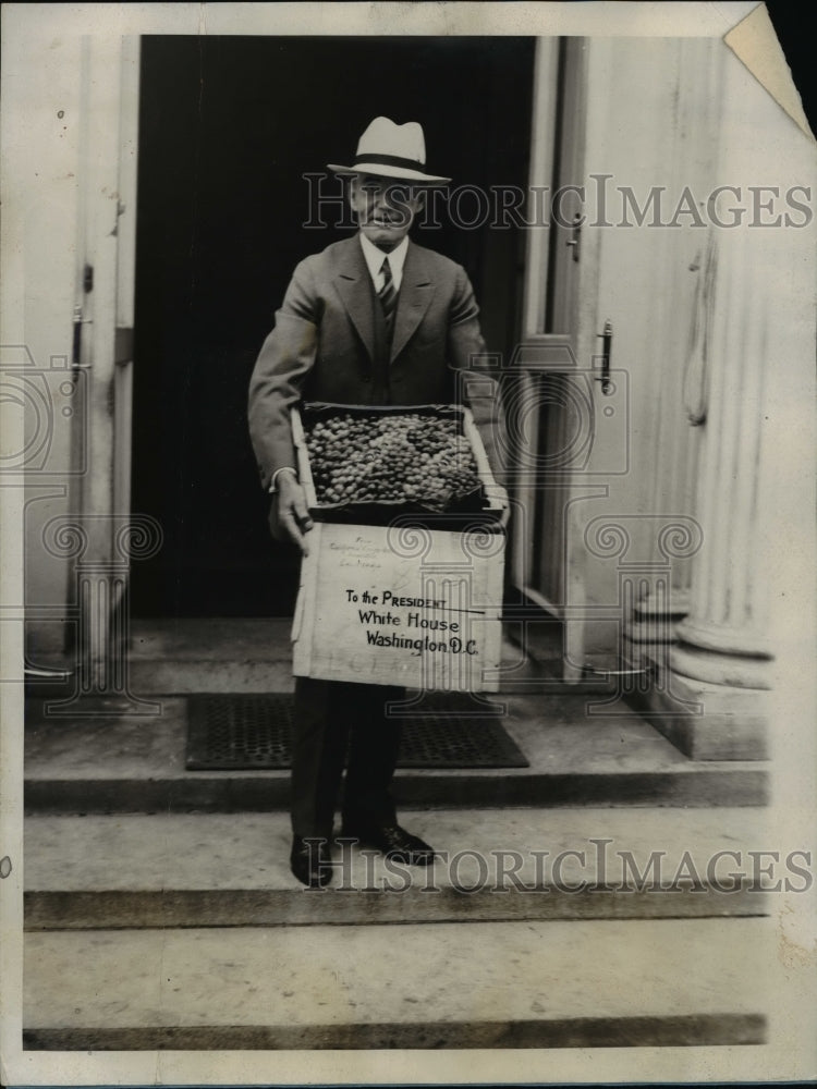 1926 William Jardine w Box of Grapes at White House  - Historic Images