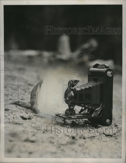 1938 Press Photo Squirrel Beside Camera in Emerald Lake, Canada - nef54242-Historic Images