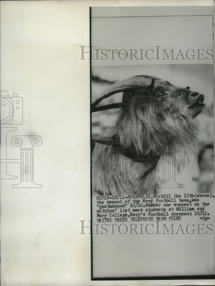 1952 Bill the 12th mascot of Navy Football Team was Goatnapped - Historic Images