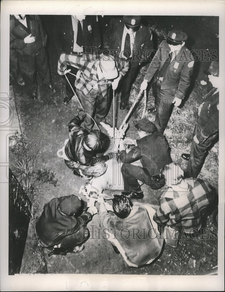 1953 Press Photo Police Trapped Wandering Deer &amp; Dispatched Him to the City Zoo. - Historic Images
