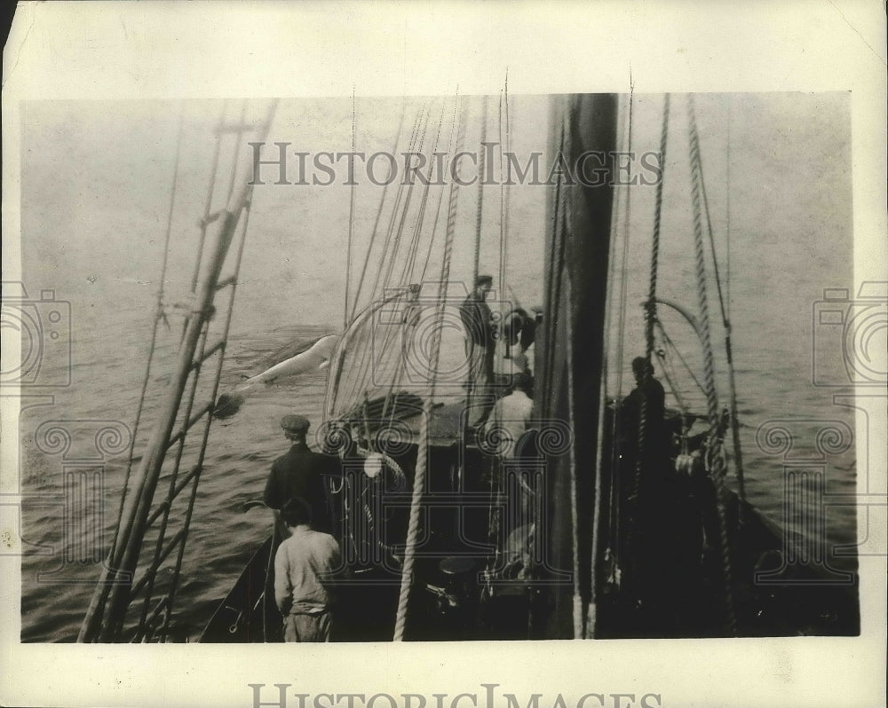 1938 Press Photo Unknown Ship &amp; Crew - Historic Images