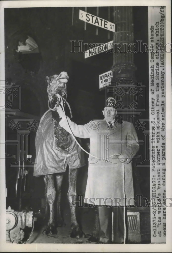 1951 Potentate Storne S. Gibney with a camel from the Shrine Circus - Historic Images