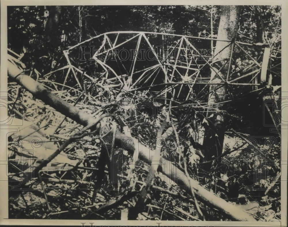 1934 Press Photo Wrecked Plane Hidden in Rugged Catskills for 40 Hours Found-Historic Images