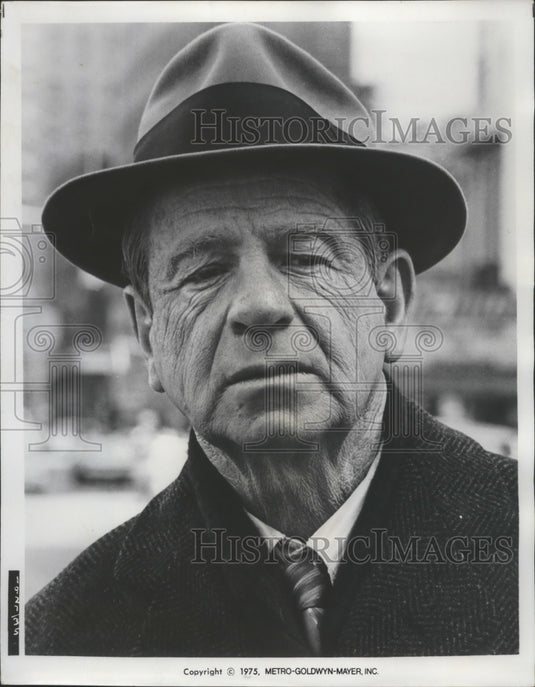 1976 Press Photo Walter Matthau Stars in MGM's "The Sunshine Boys" - nef66983-Historic Images