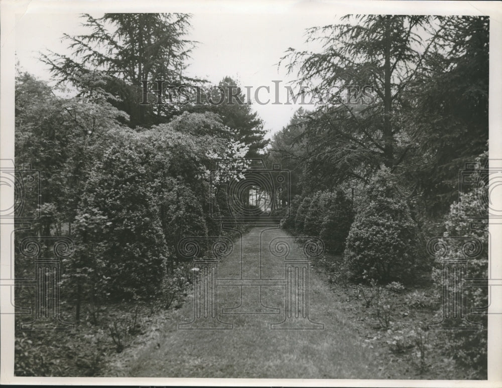 1953 Press Photo Garden tour includes Mr &amp;Mrs Sam J Forbes place - nef70478-Historic Images