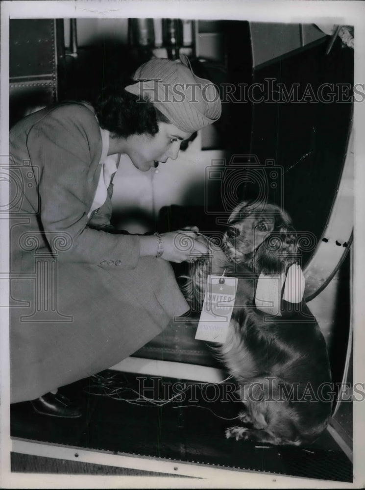 1944 United stewrdess Florence Tomaver & a cocker spaniel - Historic Images