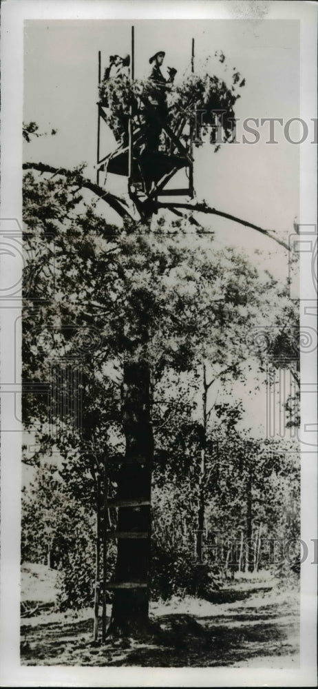 1941 Press Photo Soviet Troops Set Up a Platform In This Tree by Red Army-Historic Images