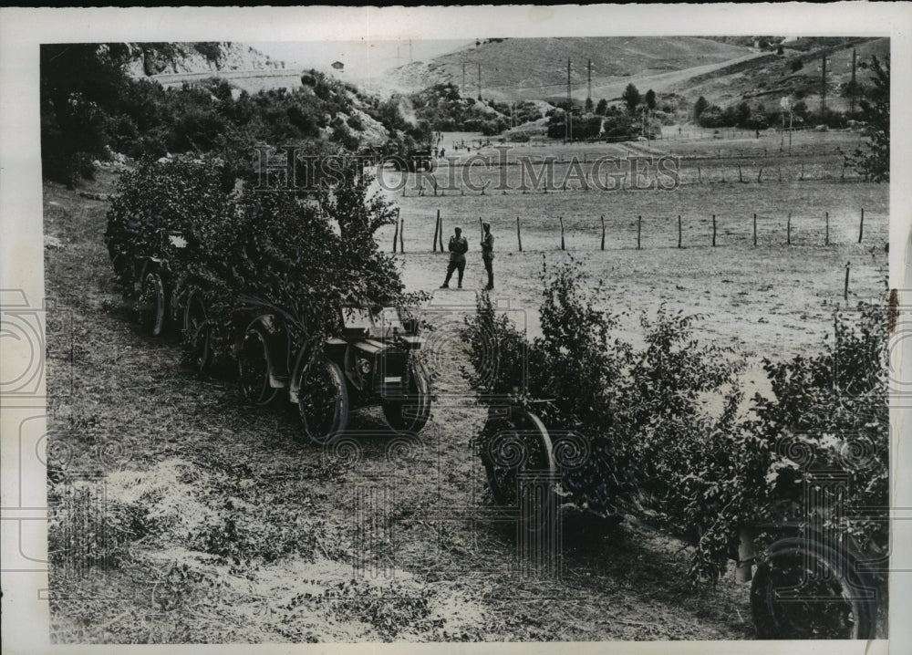 1938 Press Photo Italian Artillery in camouflaged move in front of the maneuvers-Historic Images