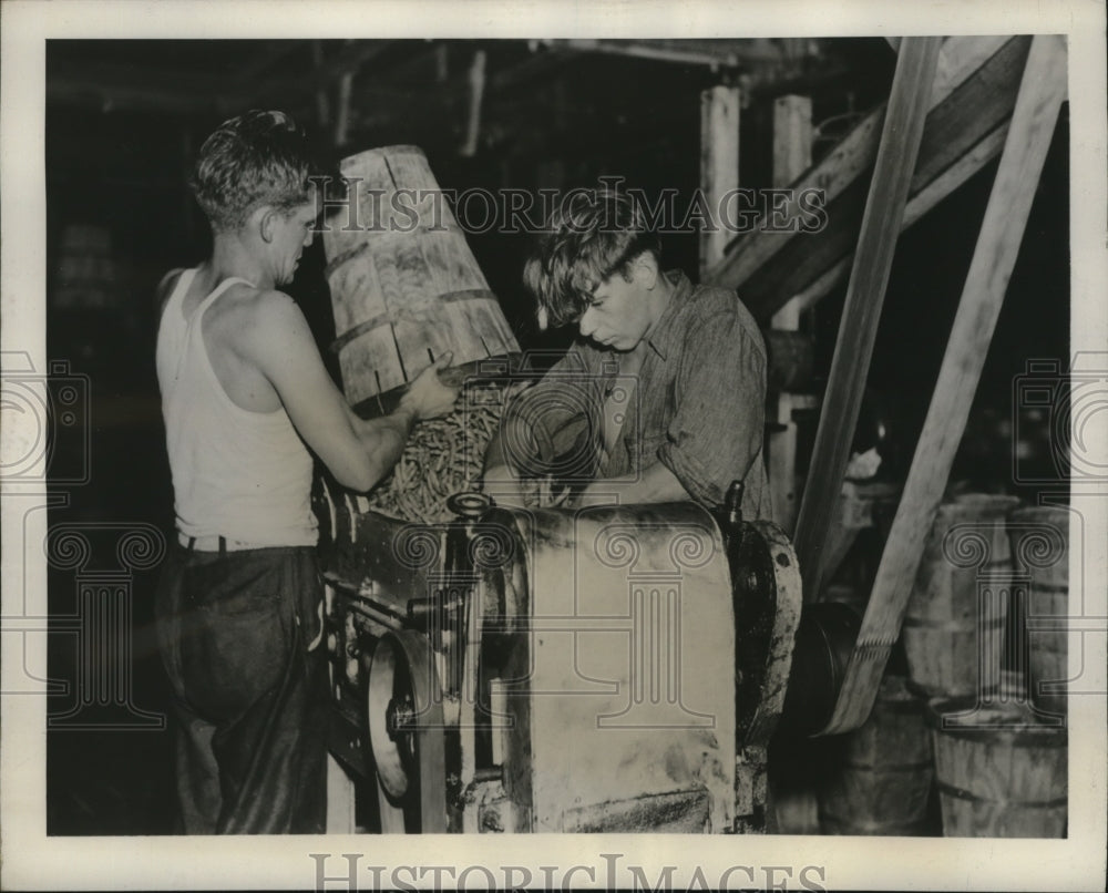 1940 Workers Chopping Beans in Canning Plant at Dania Beach Florida - Historic Images