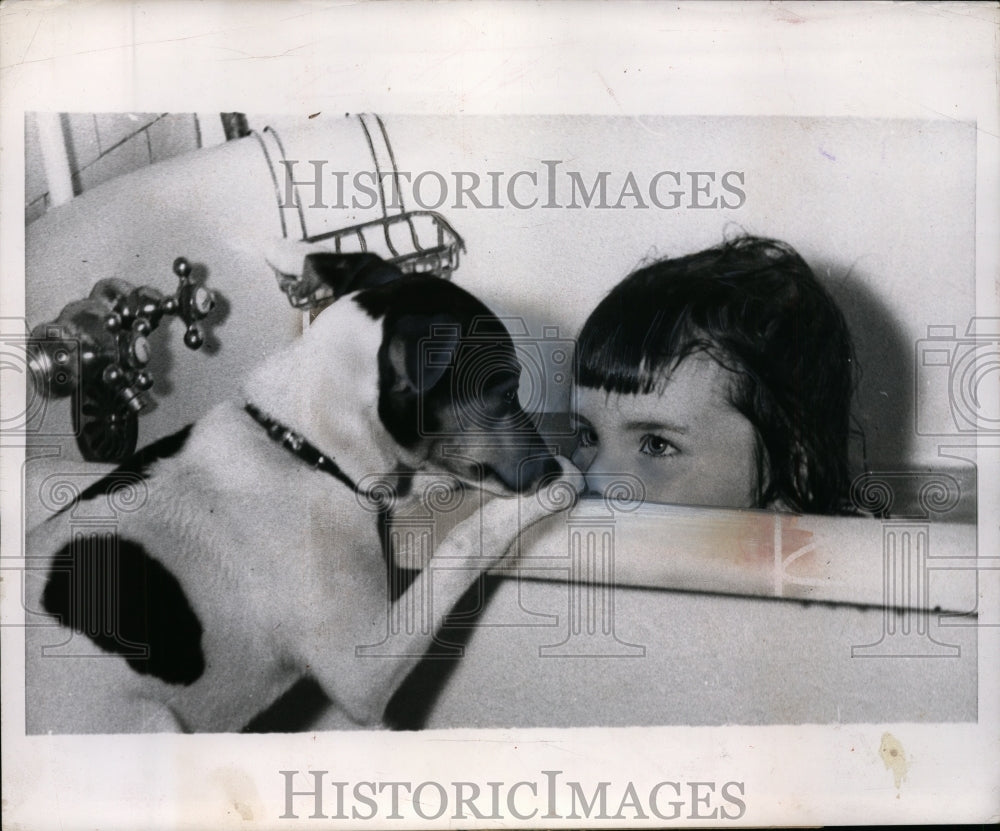 1953 Little Julie Ann O&#39;Brien with her fox terrier &quot;Trixie&quot; - Historic Images